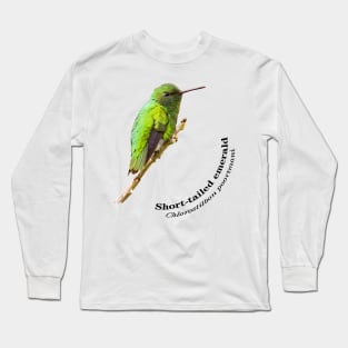 Short-tailed emerald hummingbird at dawn pin Long Sleeve T-Shirt